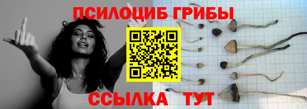 Галлюциногенные грибы Psilocybine cubensis Нижневартовск